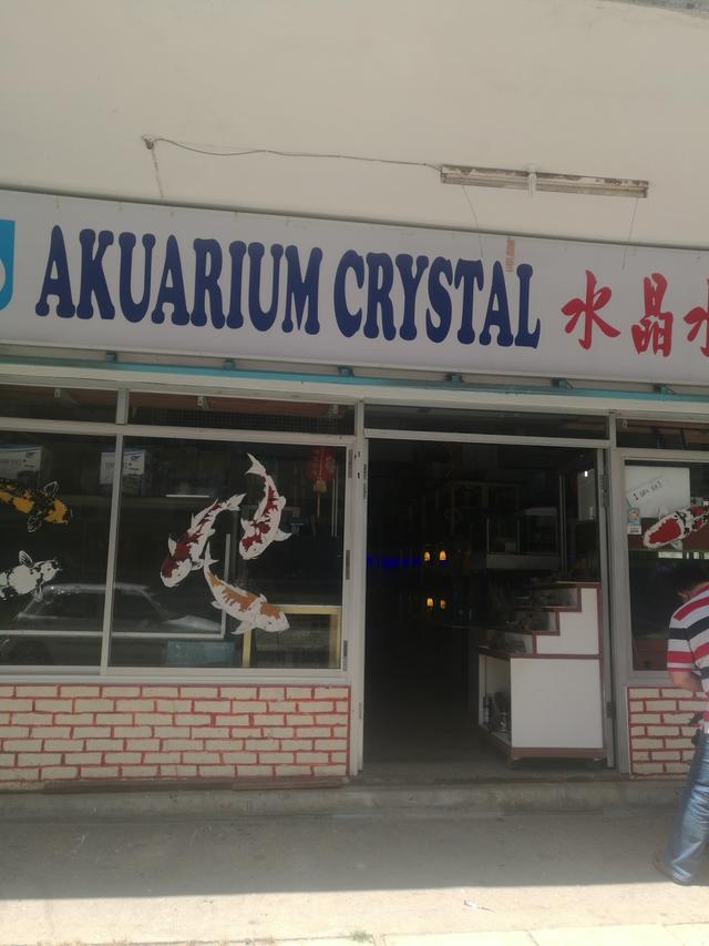Photo of Akuarium Crystal - Sandakan, Sabah, Malaysia