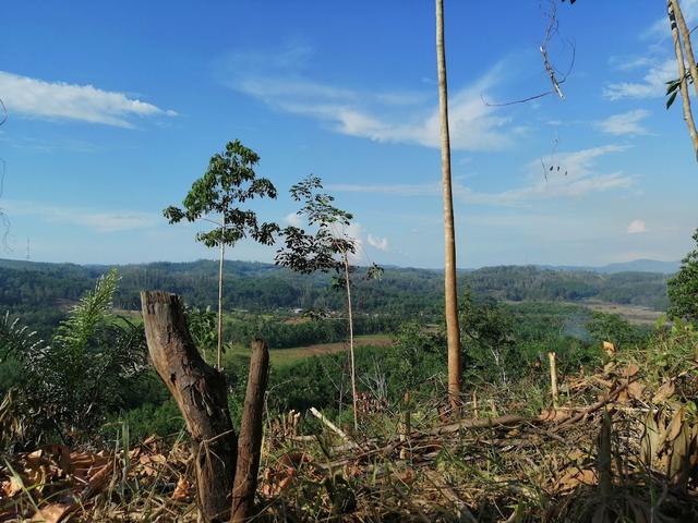 Photo of Katapang Hill Buanog - Kudat, Sabah, Malaysia