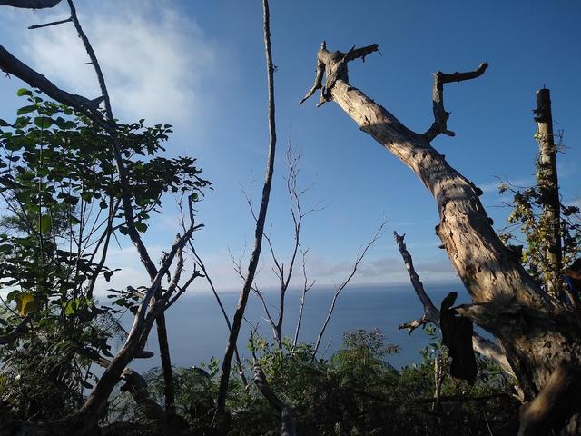 Photo of Bukit Sundang Hiking trail (Starting Point) - Sandakan, Sabah, Malaysia