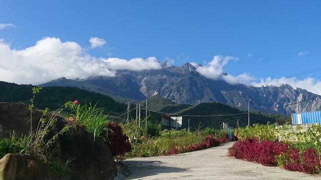 Photo of Janice Villa - Kundasang, Sabah, Malaysia