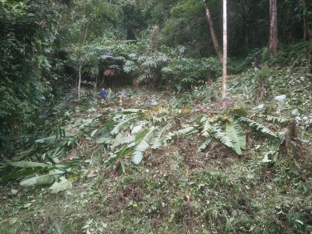 Photo of Mount Kinabalu Holiday Home (Haleluyah Retreat Centre) - Kundasang, Sabah, Malaysia