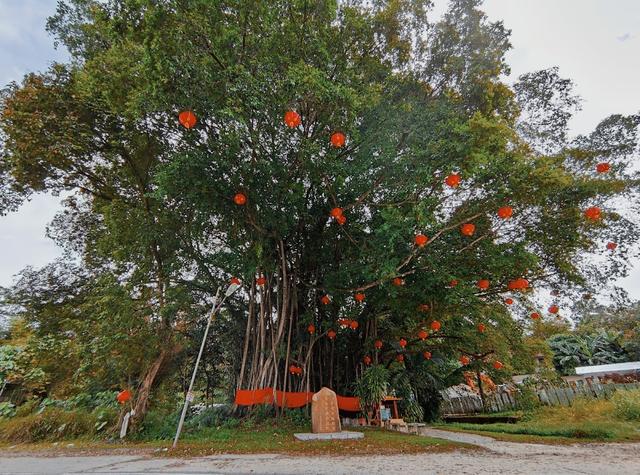 Photo of SJK (C) Chi Hwa - Sandakan, Sabah, Malaysia