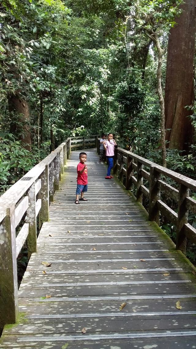 Photo of Sepilok Nature Resort - Sandakan, Sabah, Malaysia