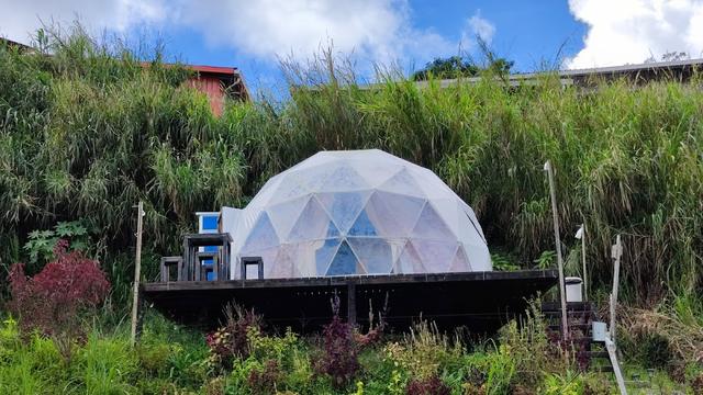 Photo of Blue Mountain Lodge Kundasang - Kundasang, Sabah, Malaysia