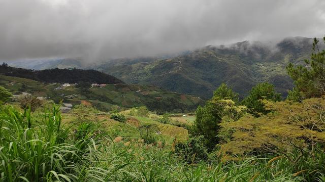 Photo of MOUNT BORNEO RESTAURANT (SERVE NO PORK) - Kundasang, Sabah, Malaysia