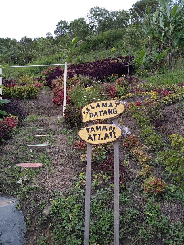 Photo of Puncak Nulou Sokid Kg. Kaparingan Ranau - Kundasang, Sabah, Malaysia