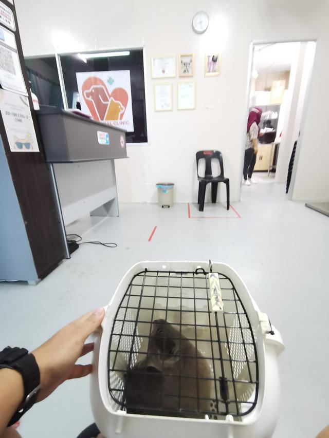 Photo of NN ANIMAL CLINIC SANDAKAN - Sandakan, Sabah, Malaysia