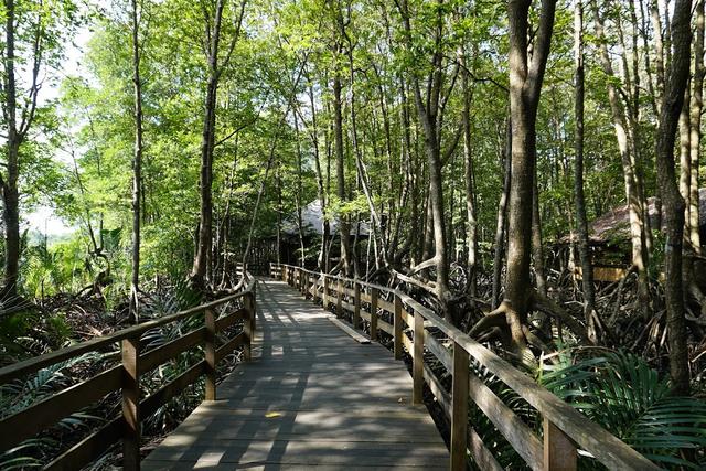 Photo of Sabandar Mangrove Park - Tuaran, Sabah, Malaysia