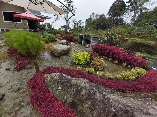 Photo of Komfy Kafe Kundasang - Kundasang, Sabah, Malaysia