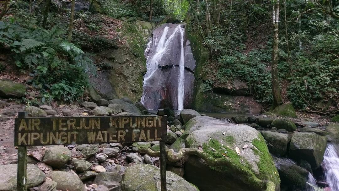 Photo of Adenna Rafflesia Garden, Poring, Sabah. - Kundasang, Sabah, Malaysia