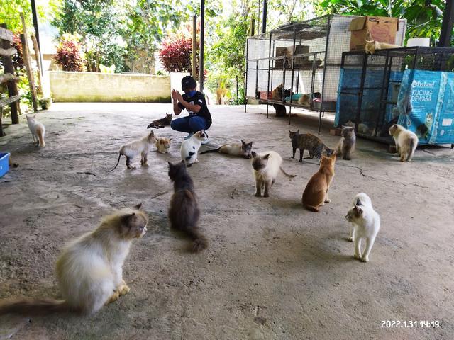 Photo of Cat Nature Park - Kundasang, Sabah, Malaysia