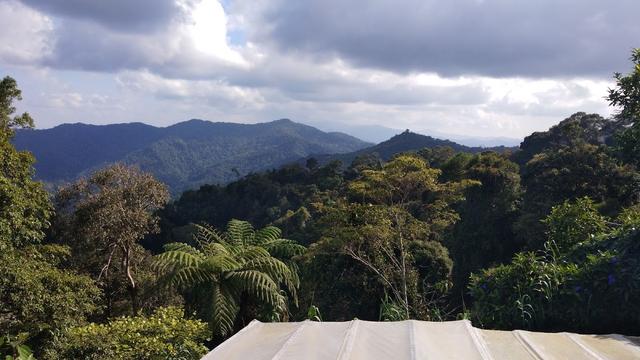 Photo of Jungle Jack Backpacker - Kundasang, Sabah, Malaysia