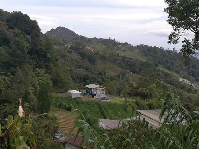 Photo of Jungle Jack Backpacker - Kundasang, Sabah, Malaysia