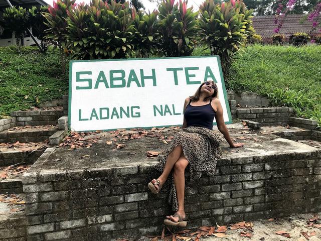 Photo of Ladang Tea Sabah, Ranau, Sabah. - Kundasang, Sabah, Malaysia