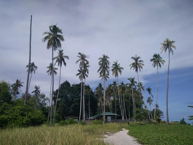Photo of Pulau Sibuan - Semporna, Sabah, Malaysia