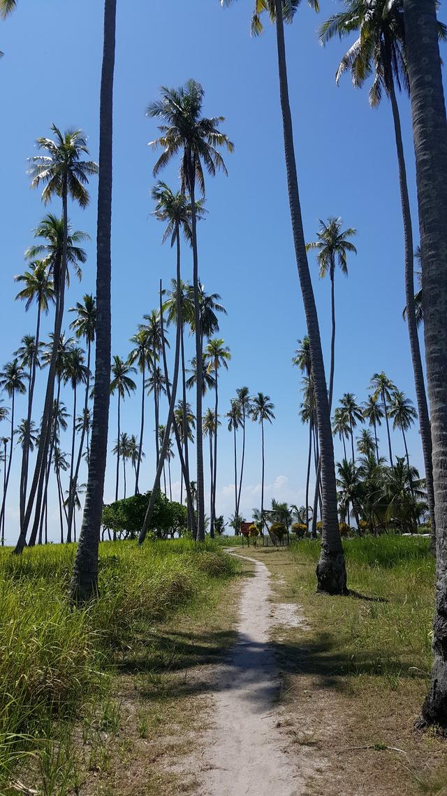 Photo of Pulau Sibuan - Semporna, Sabah, Malaysia
