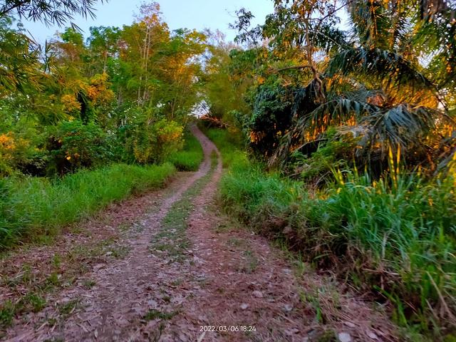 Photo of Bukit Bendera Papar - Papar, Sabah, Malaysia