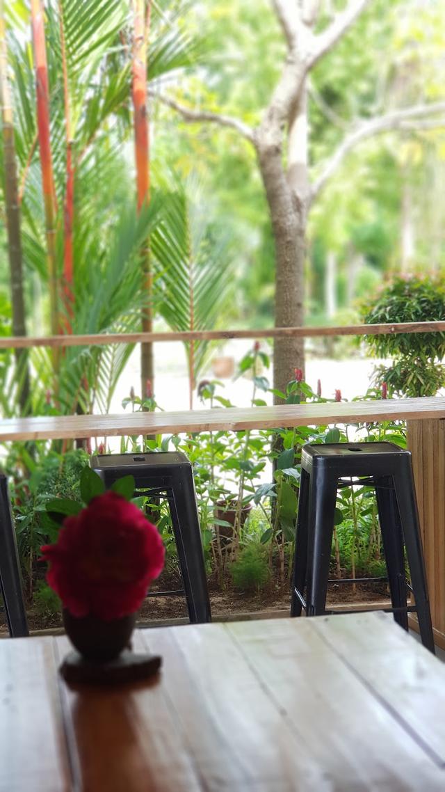 Photo of Eva Secret Garden - Kota Kinabalu, Sabah, Malaysia