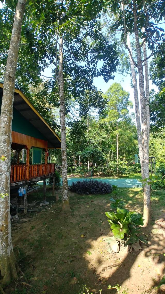 Photo of Bilit Adventure Lodge - Sandakan, Sabah, Malaysia
