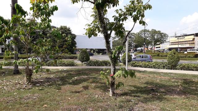 Photo of Kampung Titingan's Roundabout - Tawau, Sabah, Malaysia