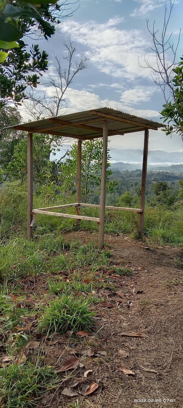 Photo of Starting Hiking Bukit Bendera, Kg Dambai, Papar - Papar, Sabah, Malaysia