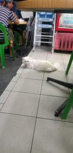 Photo of Wong Kee Coffee Shop - Kota Kinabalu, Sabah, Malaysia