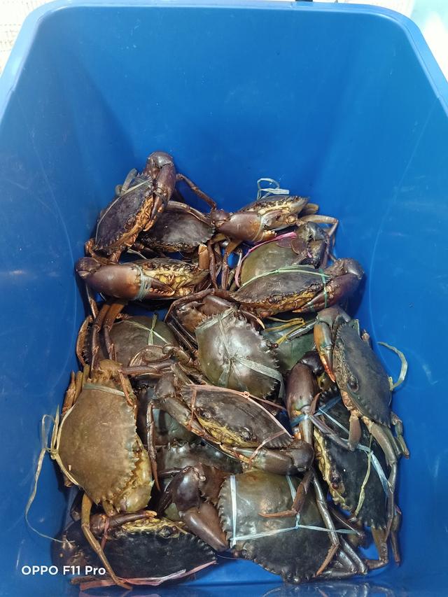 Photo of Syukur Kitchen - Kota Kinabalu, Sabah, Malaysia