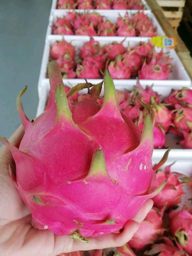 Photo of Go Go Fruitstall - Kota Kinabalu, Sabah, Malaysia