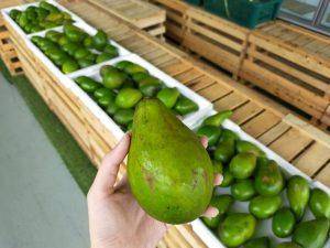 Photo of Go Go Fruitstall - Kota Kinabalu, Sabah, Malaysia