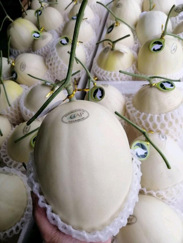 Photo of Go Go Fruitstall - Kota Kinabalu, Sabah, Malaysia