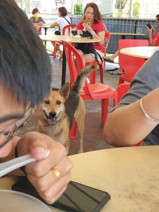 Photo of Fatty Ngau Chap / Jeff Western Food - Kota Kinabalu, Sabah, Malaysia