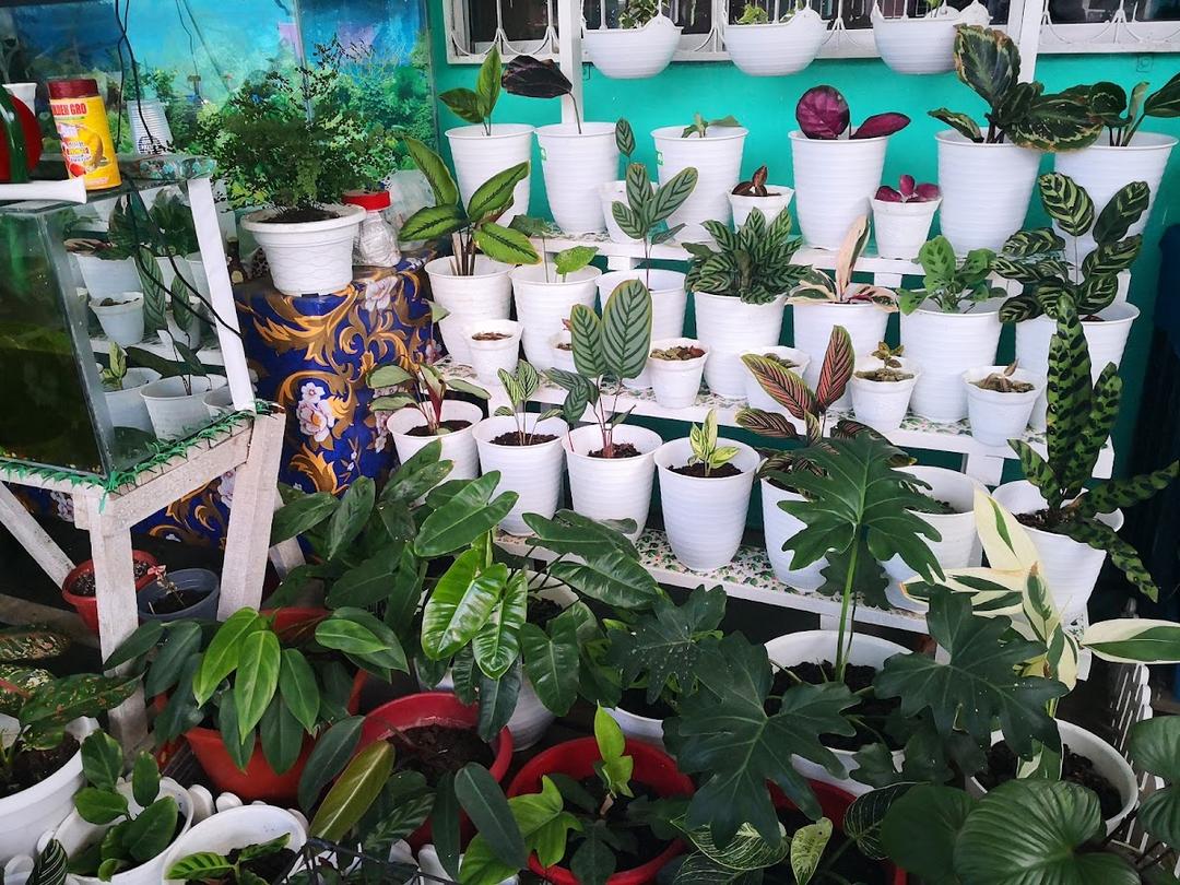 Photo of Ryna Florist - Lahad Datu, Sabah, Malaysia