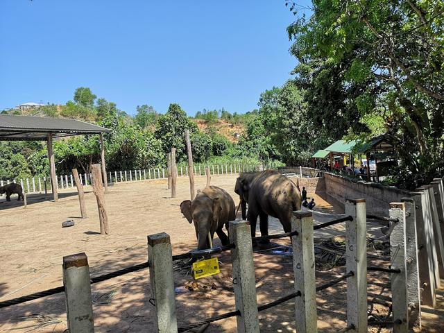 Photo of Lok Kawi Wildlife Park - Kota Kinabalu, Sabah, Malaysia