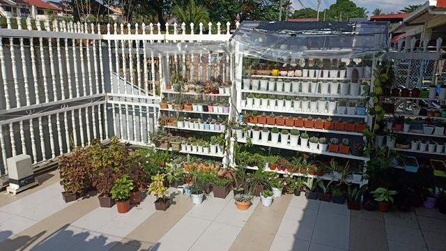 Photo of MDLD3090 TAMAN FAJAR - Lahad Datu, Sabah, Malaysia