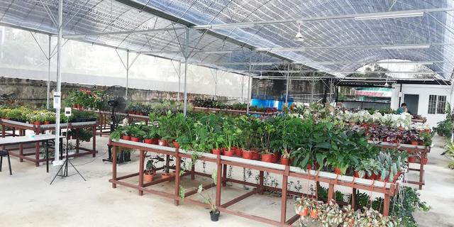 Photo of 88 BORNEO GARDEN - Lahad Datu, Sabah, Malaysia