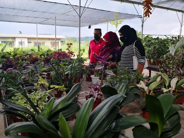 Photo of 88 BORNEO GARDEN - Lahad Datu, Sabah, Malaysia