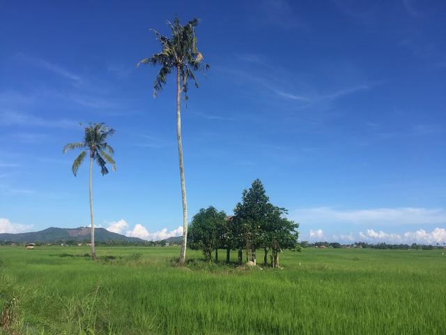 Photo of Peranauan Inn D'Sangkir - Kota Kinabalu, Sabah, Malaysia