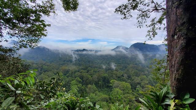 Photo of Borneo Rainforest Lodge - Lahad Datu, Sabah, Malaysia
