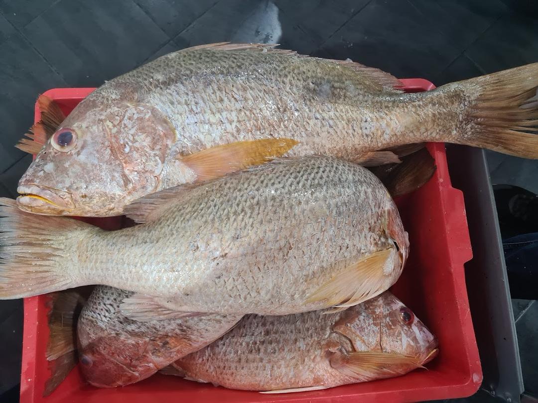 Photo of Fish Guru fish noodle restaurant - Kota Kinabalu, Sabah, Malaysia