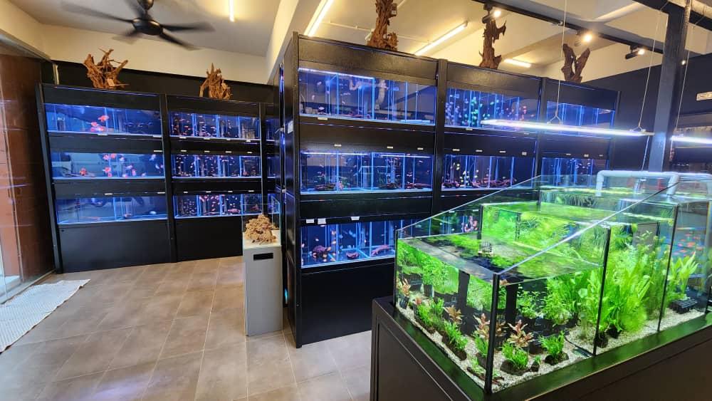 Photo of Brickfish Aquarium &amp; Pets - Kuala Lumpur, Kuala lumpur, Malaysia