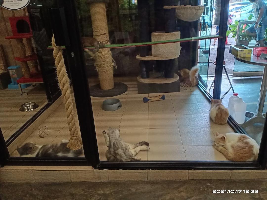 Photo of CTY Pets Hotel - George Town, Penang, Malaysia