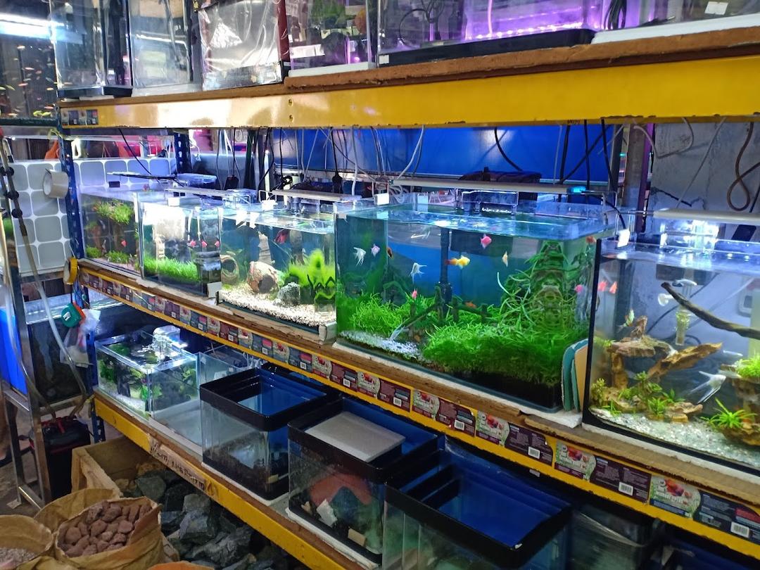 Photo of K&amp;G Aquarium - Kuala Lumpur, Kuala lumpur, Malaysia