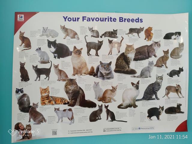 Photo of Pet Haven Veterinary Clinic - Kuala Lumpur, Kuala lumpur, Malaysia
