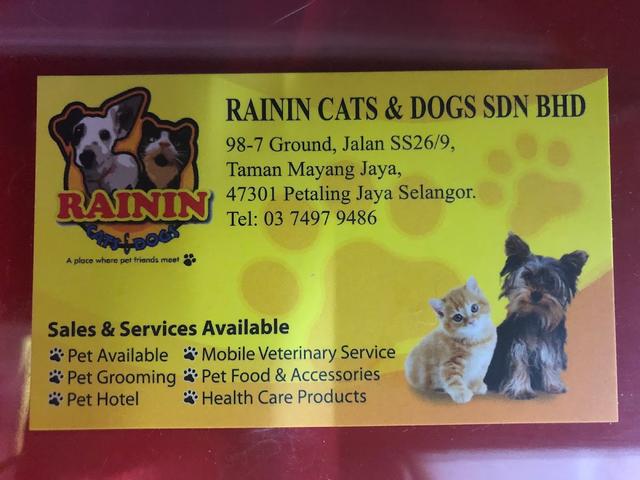 Photo of RAININ CATS N DOGS TAMAN MAYANG - Petaling Jaya, Selangor, Malaysia