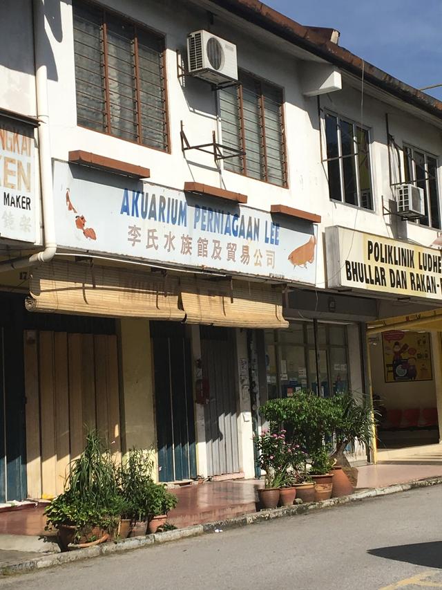 Photo of Akuarium &amp; Perniagaan Lee - Shah Alam, Selangor, Malaysia