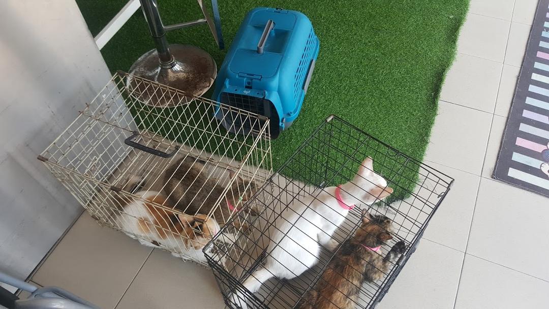 Photo of AZ Animal Clinic &amp; Pet Hotel - Shah Alam, Selangor, Malaysia