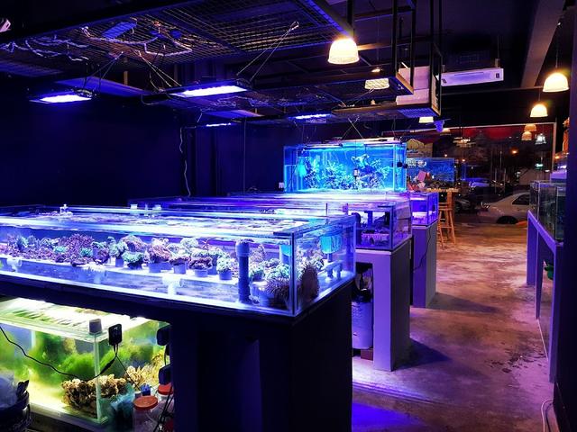Photo of Eco Marine Aquarium Centre - Bukit Mertajam, Penang, Malaysia