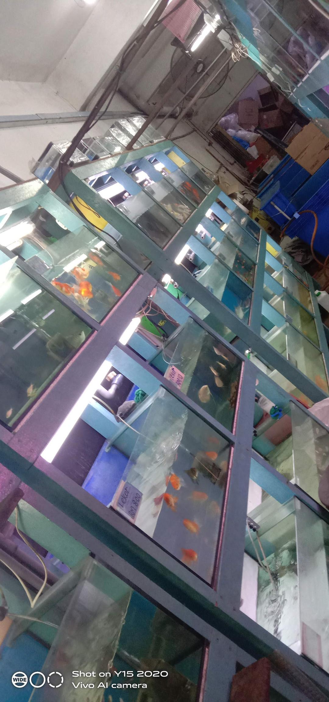 Photo of Kim Leong Pets &amp; Aquarium - Kuala Lumpur, Kuala lumpur, Malaysia