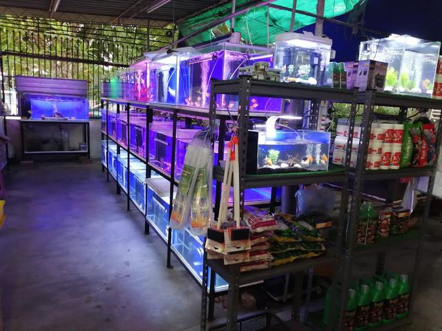 Photo of LYS Aquarium and Pets Supplies (南美园水族) - Bukit Mertajam, Penang, Malaysia