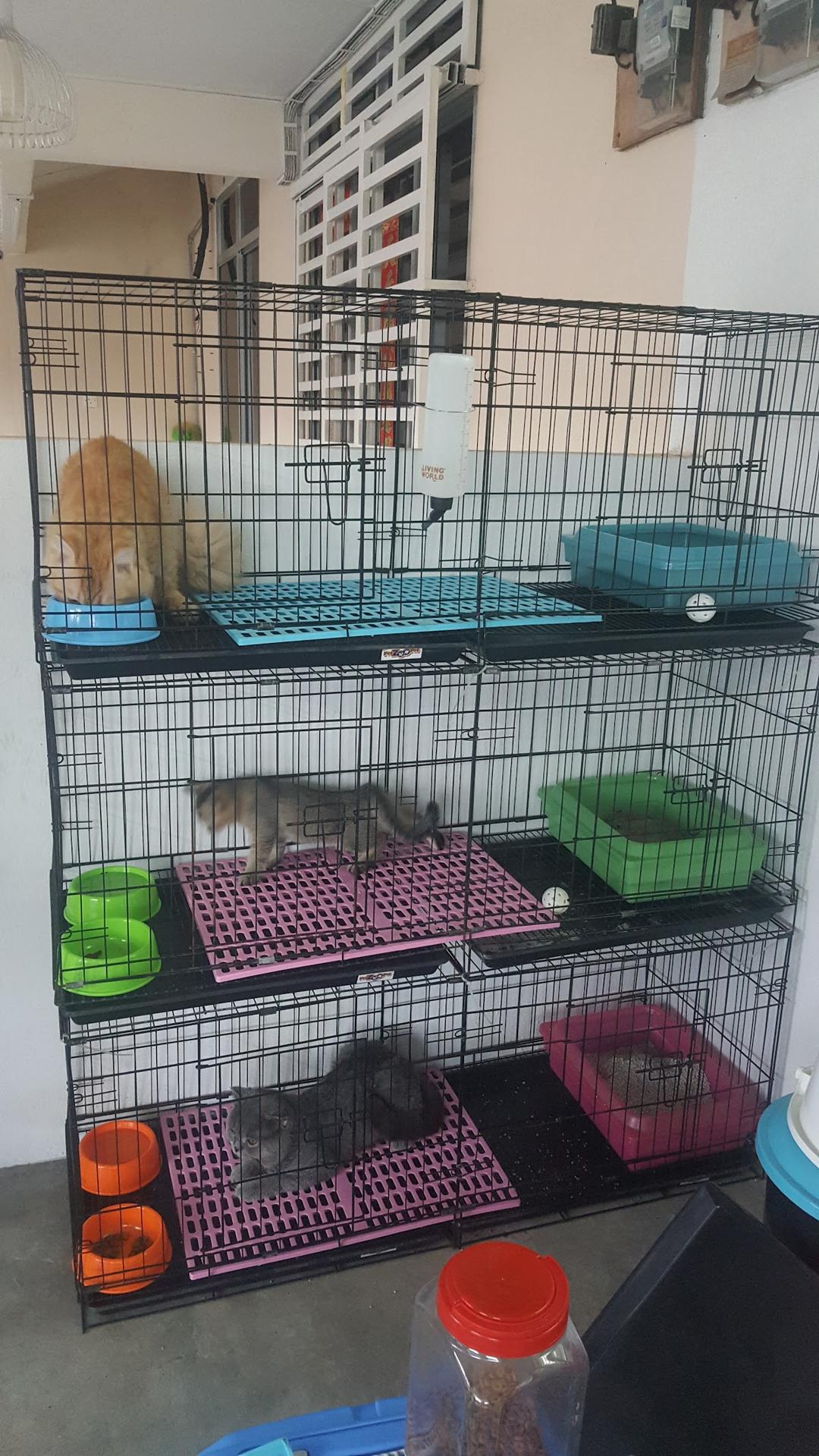 Photo of Mr J Pet Centre - Bukit Mertajam, Penang, Malaysia